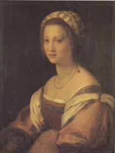 Andrea del Sarto Portrait of a Young Woman (san05) Spain oil painting art